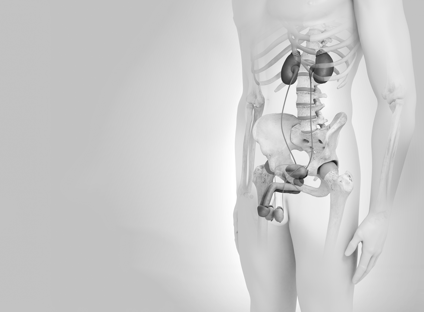 Urologie