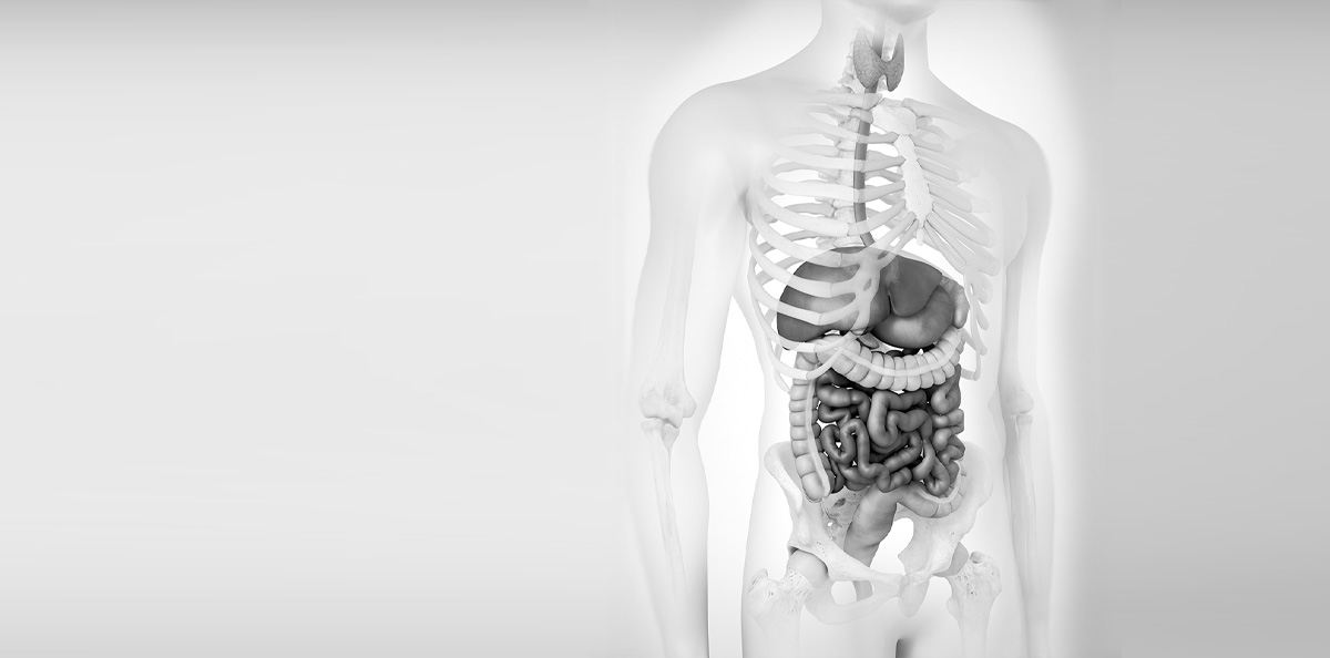 Algemene / viscerale chirurgie
